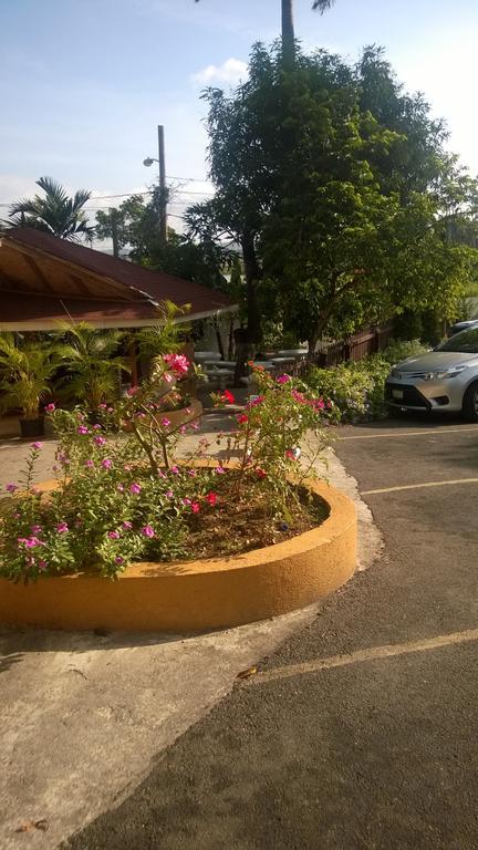 Palm Bay Guest House & Restaurant Бухта Монтего Экстерьер фото